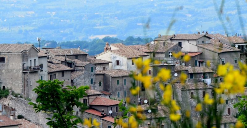 immagine notizia (ptn) Stroncone, il Comune pianta lecci per celebrare i nuovi nati del 2025